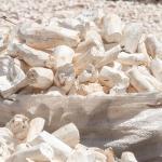 Garri & Cassava: From Cameroonian Staple to Global Superfood