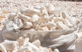 Garri & Cassava: From Cameroonian Staple to Global Superfood