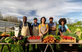 Sustainable Farming in Cameroon: How Smallholders Are Leading the Future of Food